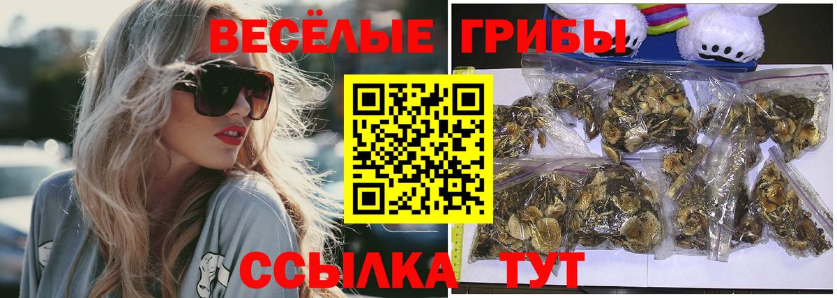 Камышлов  Псилоцибиновые грибы MAGIC MUSHROOMS  Вход с VPN  Псилоцибиновые грибы ЛСД 