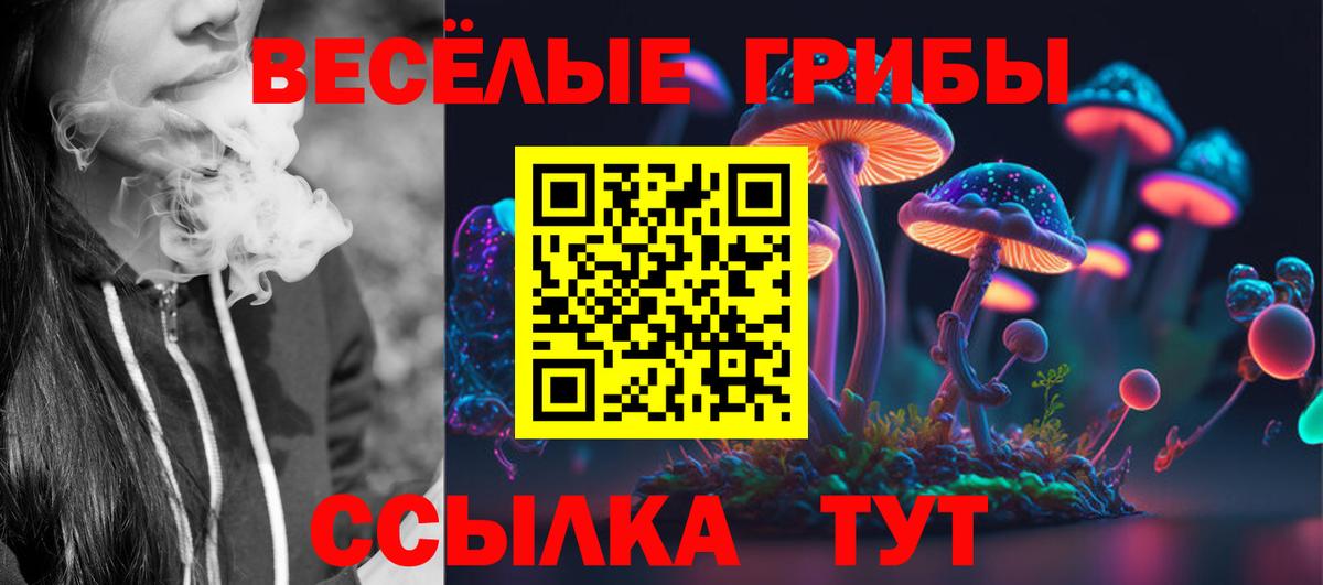Псилоцибиновые грибы ЛСД Камышлов