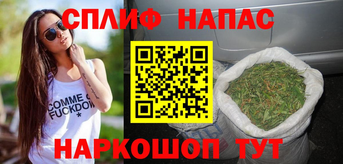 Бошки марихуана THC 21%  Бошки Шишки сатива  Вход с VPN  Бошки марихуана планчик  Камышлов 